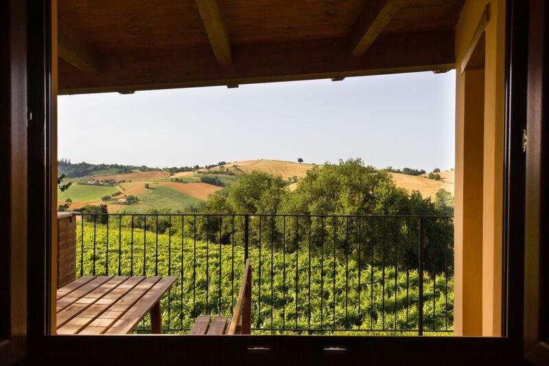 Vecchio Gelso * Ortezzano