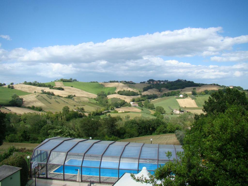 Vecchio Gelso