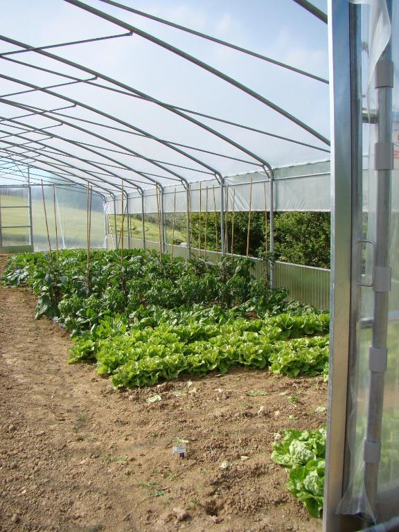Farm stay Vecchio Gelso *
