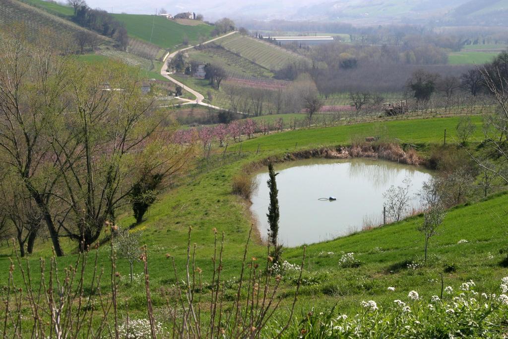Vecchio Gelso Alojamento de Turismo Rural *