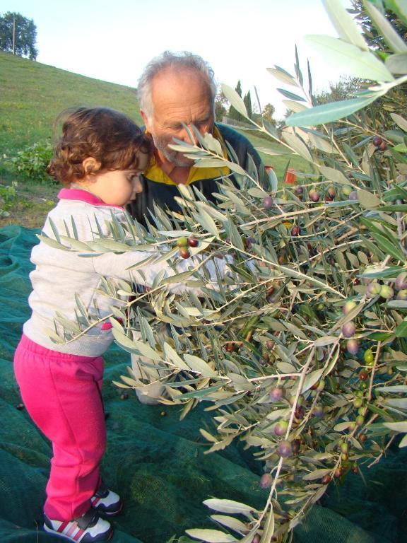 Vecchio Gelso Alojamento de Turismo Rural