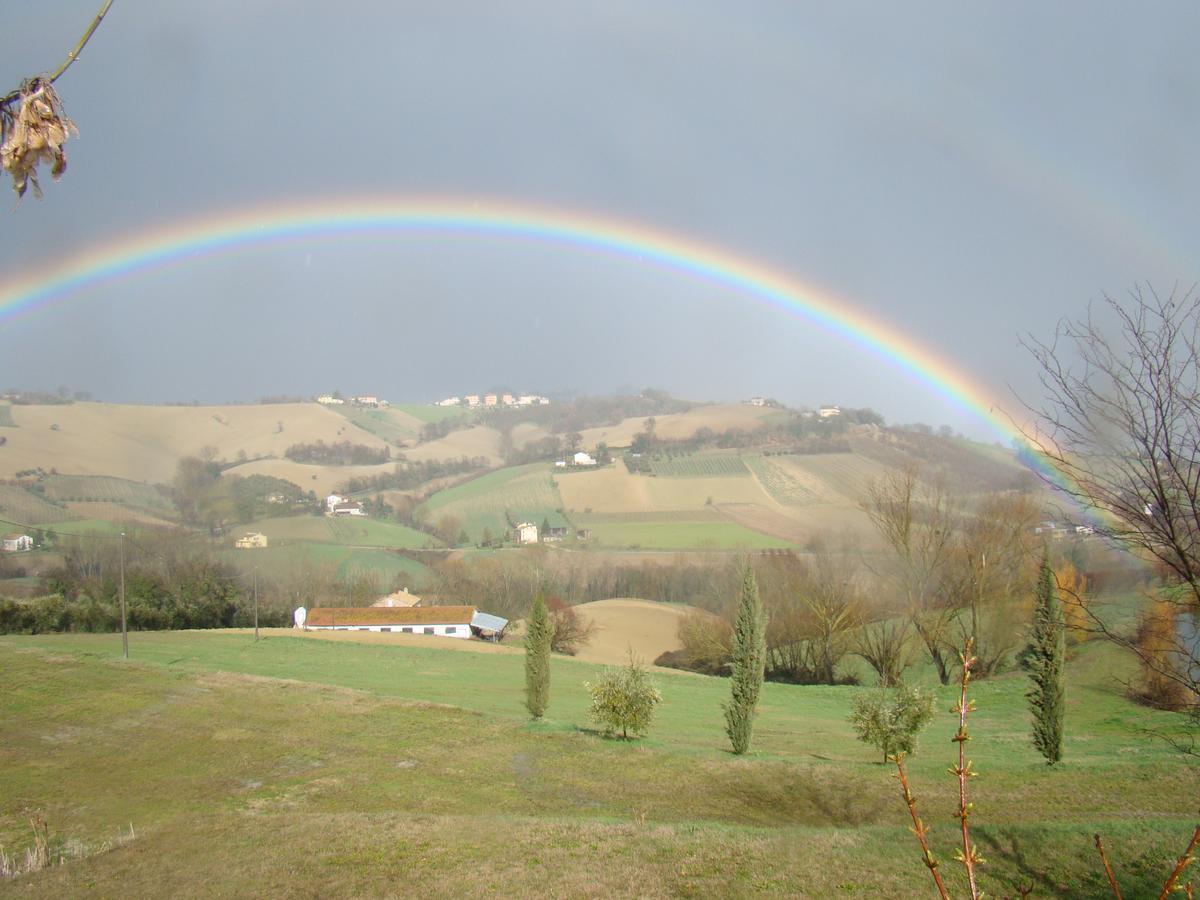 Vecchio Gelso
