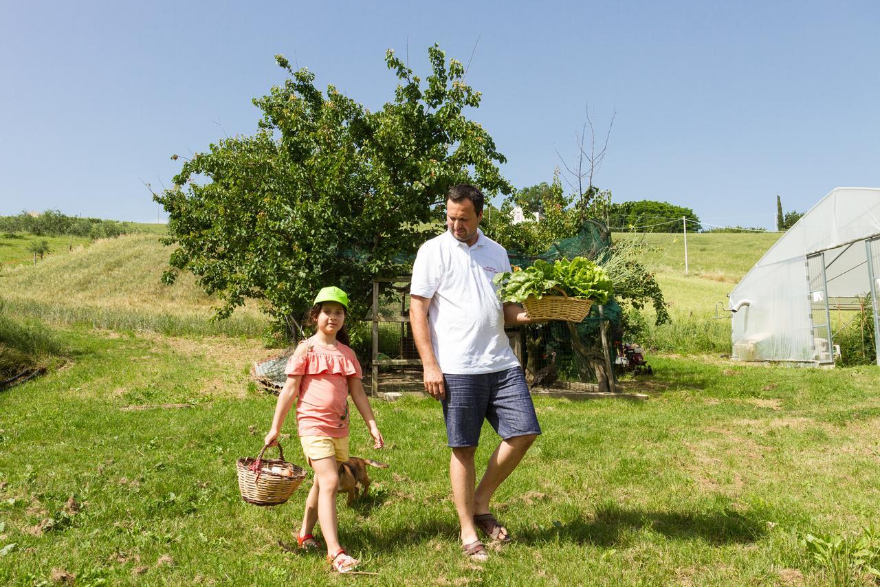 Alojamento de Turismo Rural Vecchio Gelso